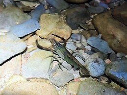 XiangLu YiMo Valley Retreat Guesthouse