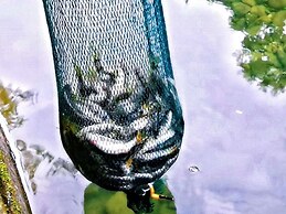 XiangLu YiMo Valley Retreat Guesthouse