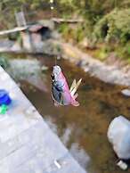 XiangLu YiMo Valley Retreat Guesthouse