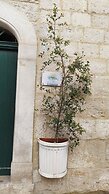 La Grazia Trani