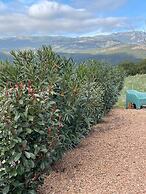 Rsidence Patios di Pruno