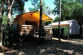 Camping des 2 étangs