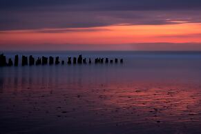BonjourSauvage Seignosse