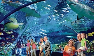 Relaxing Eagles Ridge Getaway Hot Tub