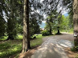 096 Bilocale Immerso nel Verde Pinzolo