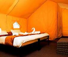 Camp Norling Stars - Koyul