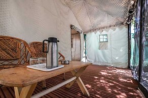 Camp Norling Stars - Koyul