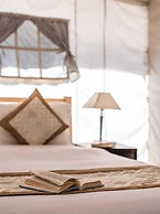 Camp Norling Stars - Koyul