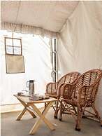 Camp Norling Stars - Koyul