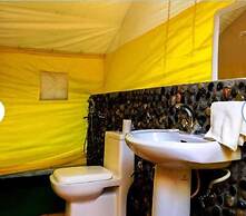 Camp Norling Stars - Koyul