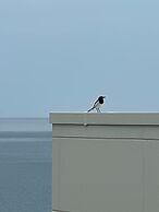 WakasaSurfHotel ILMARE