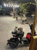 May Garden Homestay