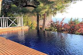 La Luna of Marseille