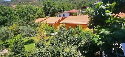 ÇAMLI BUNGALOW EVLERİ