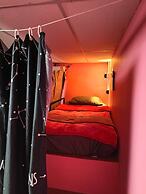 Disco Zoo Bar and Hostel