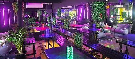 Disco Zoo Bar and Hostel