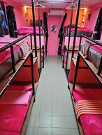 Disco Zoo Bar and Hostel