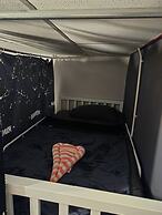 Disco Zoo Bar and Hostel