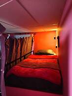 Disco Zoo Bar and Hostel