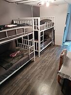 Disco Zoo Bar and Hostel