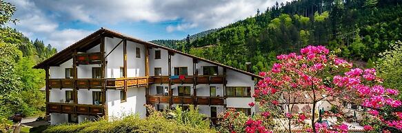 Holzschuh Schwarzwaldhotel