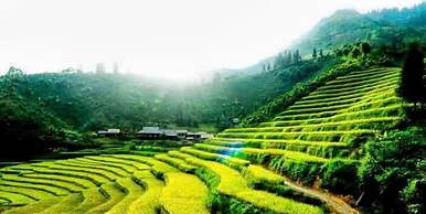 Ban Lien Pine Homestay Lao Cai