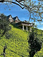 Celazeni Suit Bungalov