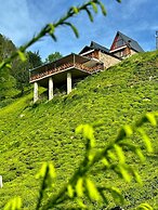 Celazeni Suit Bungalov