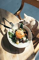 Primus Nefes Adults Only