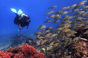 Villa With Pool, Walk to Beach, Restaurants, Shops