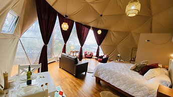 FéLIZA Rainforest Domes