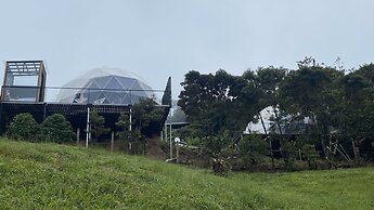 FéLIZA Rainforest Domes