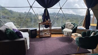 FéLIZA Rainforest Domes