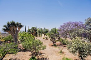 Posada los Olivos