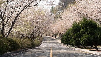 Yeonorang Park Pool Villa in Pohang