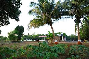Radhe Farm (200mtr from Devaliya Park)