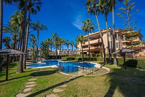 Albatros in Bah a de J vea