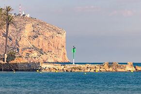 Albatros in Bah a de J vea