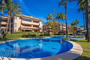 Albatros in Bah a de J vea