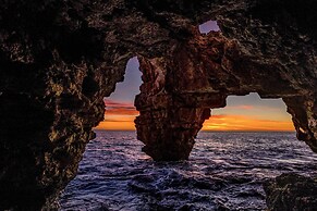 Begonias 4 pax in J vea