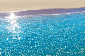 Artesol in Platja de l Arenal