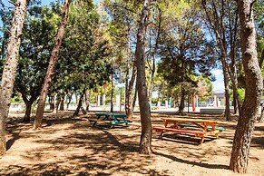 Artesol 4 pax in Platja de l Arenal