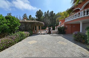 Serena Vista in J vea