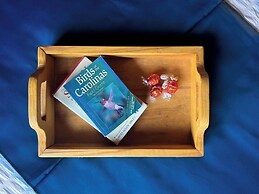 Mars Hill Cabin Retreat Mountain Views, Hot Tub, and Adventure Awaits