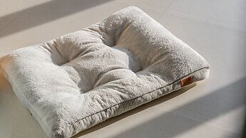 Jat Hyanggi Pureun Forest Campground