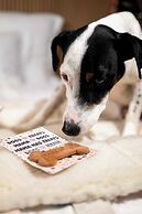 Mama Shelter Singapore