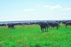 Goshen Mara