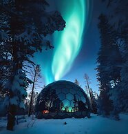 SKOG - Aurora igloos