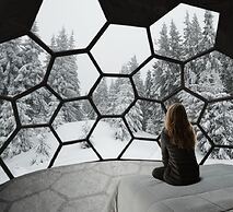 SKOG - Aurora igloos