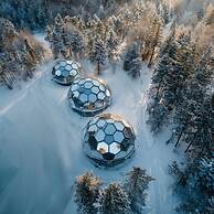 SKOG - Aurora igloos